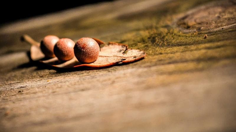 OpenAI Deep Research Brings AI to Enterprise Analysis Work