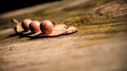 Trump Officials Push Banks to Test Anthropic Model Despite DoD Risk Flag