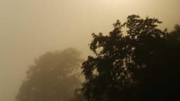 EU AI Act Full Enforcement Begins: What Businesses Operating in Europe Need to Know