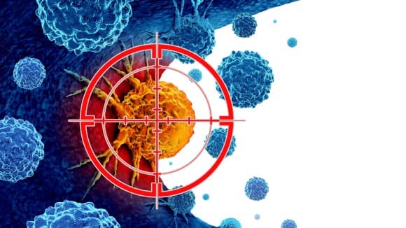 ML Identifies Cancer Immunotherapy Targets with Patient Validation